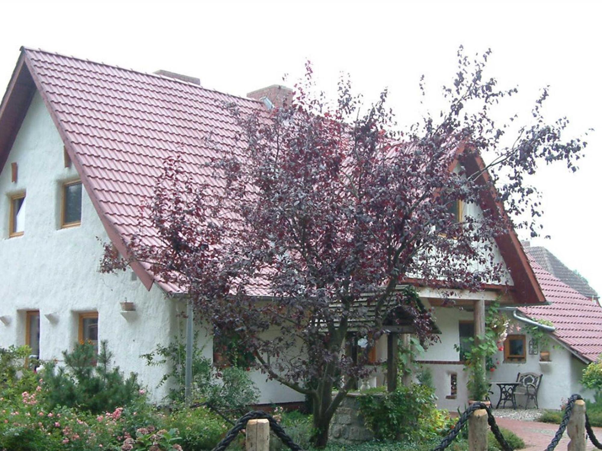 Apartamento Haus Jasmin Bodstedt Exterior foto